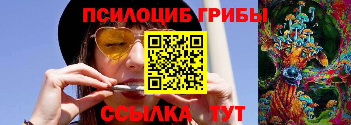 Псилоцибиновые грибы Cubensis Городец