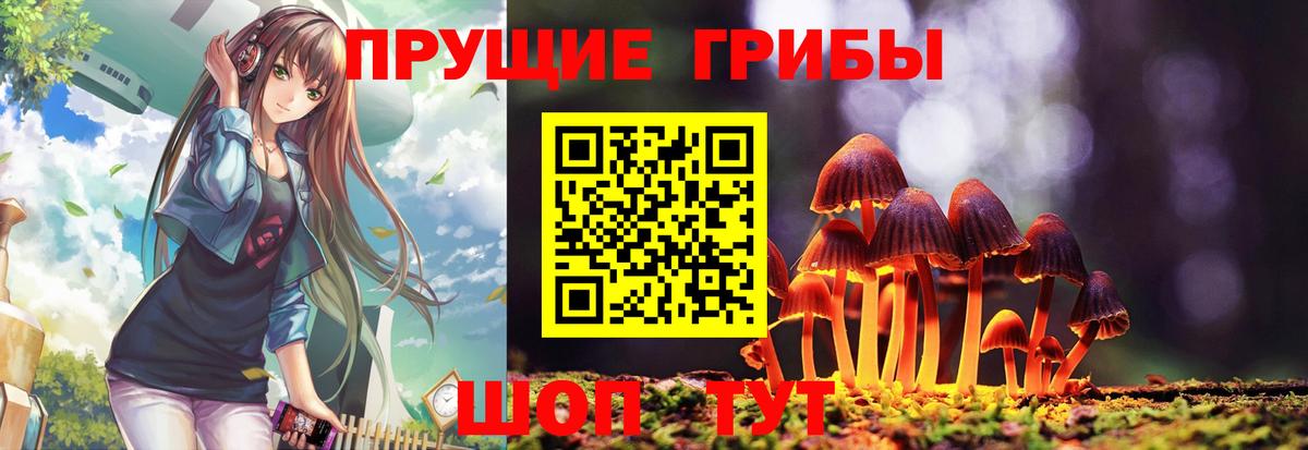 Псилоцибиновые грибы Psilocybine cubensis  Вход с VPN  Городец 